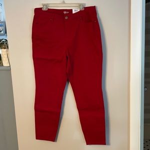 NWT Style & Co Skinny Jeans